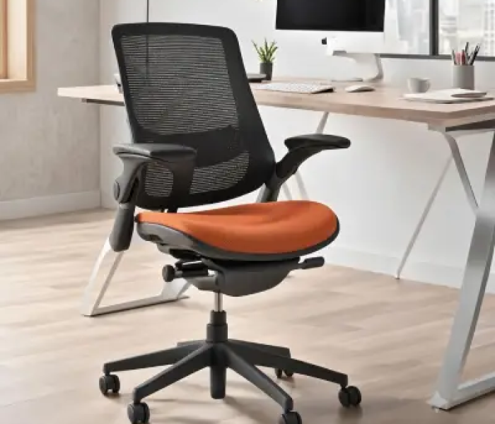 Ergonomic Chair with Adjustable Lumbar