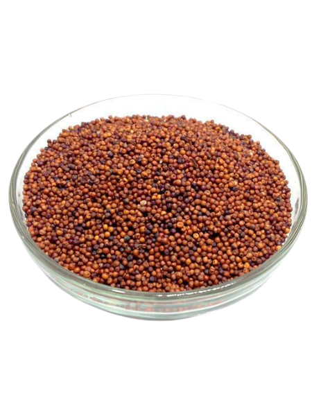 Ragi Millet (கேழ்வரகு)