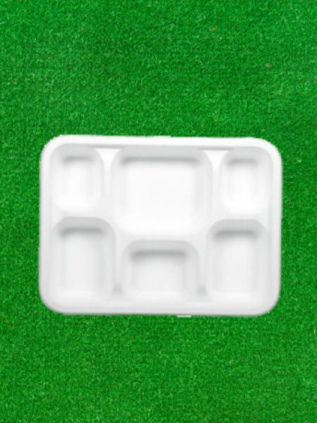 6CP TRAY CLASSI BIO (250)