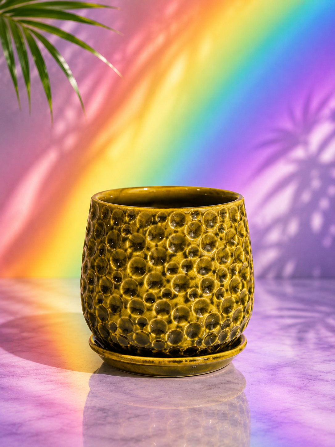 Designer Ceramic Pots