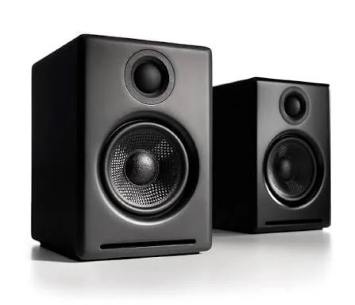DUAL SPEAKERS