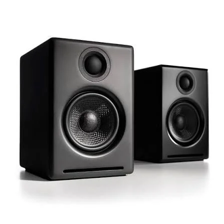 DUAL SPEAKERS